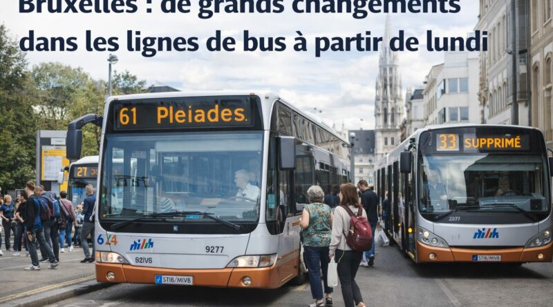 Bus a larret a Bruxelles