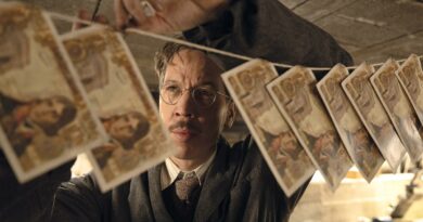 FIFF Fevrier 1 Bojarski