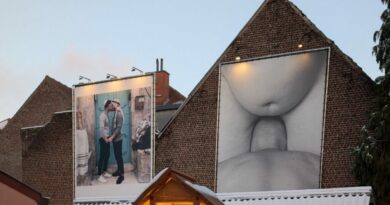 OEuvre dart controversee a Jette une exposition publique jugee inadaptee aux enfants