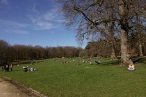 Printemps surprise au cœur de Bruxelles