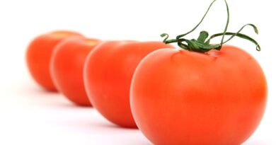 Une recette de risotto aux trois tomates