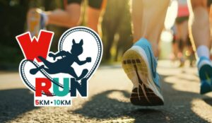 Walibi Run : la course la plus folle de Belgique débarque… au milieu des attractions le 28 mars 2026 !