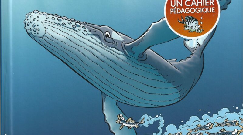 Animaux marins bamboo