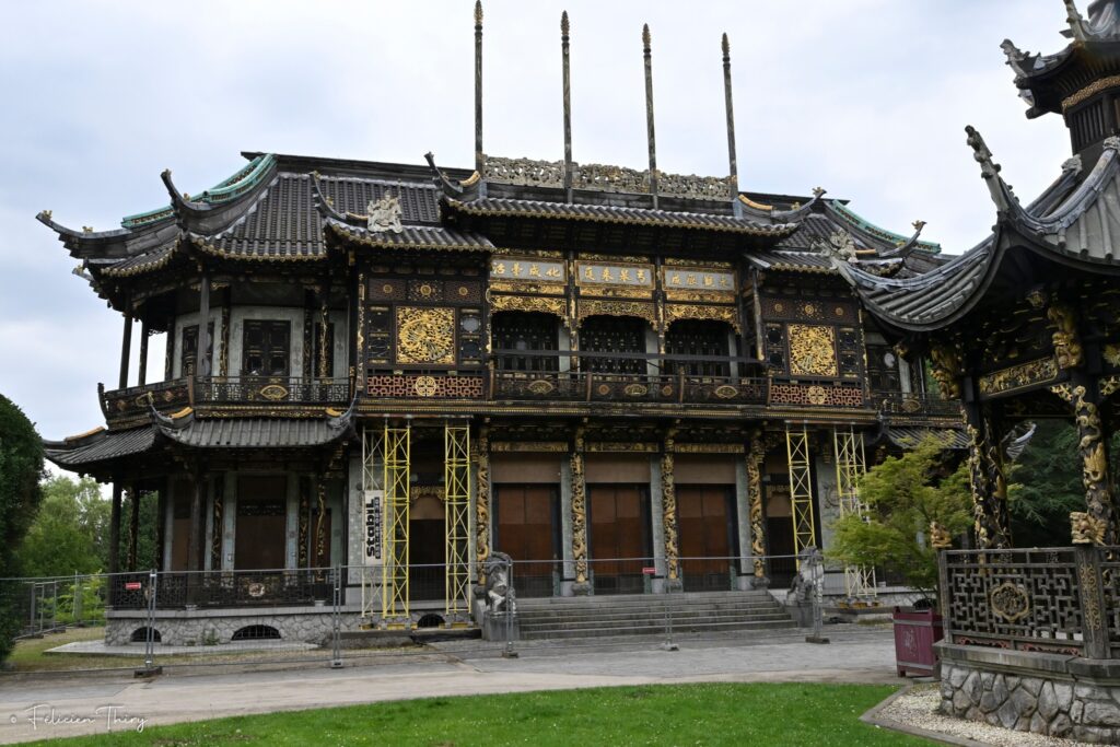 Chinoi