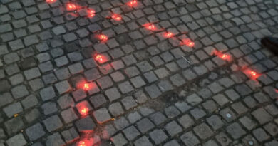 La lutte contre les maladies chte de laide americaine