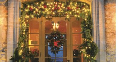 Noel cameline presses cite 06