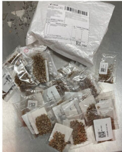 Des semences dans 180 colis postaux ont été saisies à l’aéroport de Zaventem