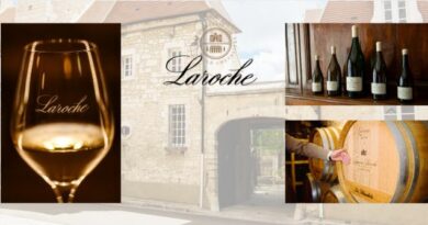 1 viticulture decouvrez le chablis chez Laroche