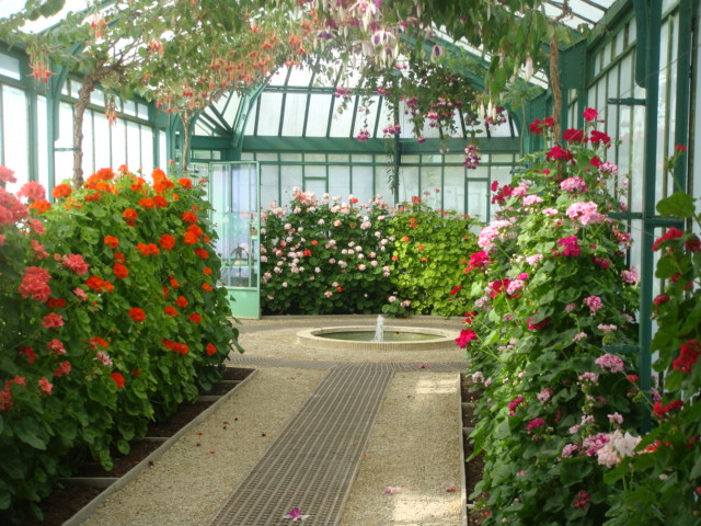 5 Serres de Laeken
