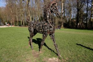 Le cheval d’acier qui murmure à la forêt
