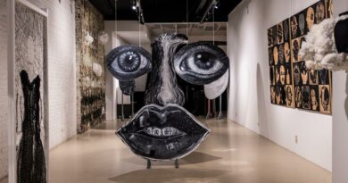 Chambres 6 Beffroi yeux