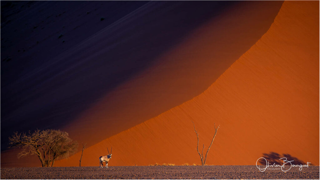 Namibie 1 Desert