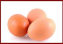 OEUF OEUF