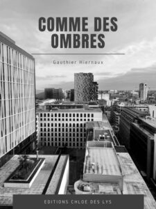 Dans le sillage discret des ombres