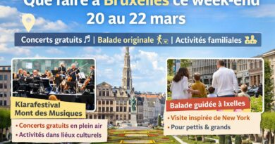 Que faire a Bruxelles ce week end