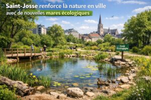 Saint-Josse renforce la nature en ville avec de nouvelles mares écologiques