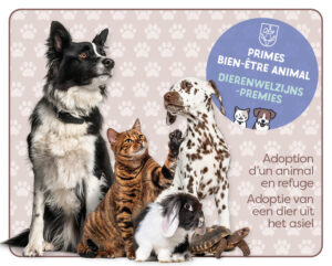 Prime pour l’adoption d’un animal en refuge