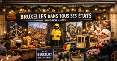 Bruxelles brouette