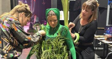 Dans les coulisses du grand cactus