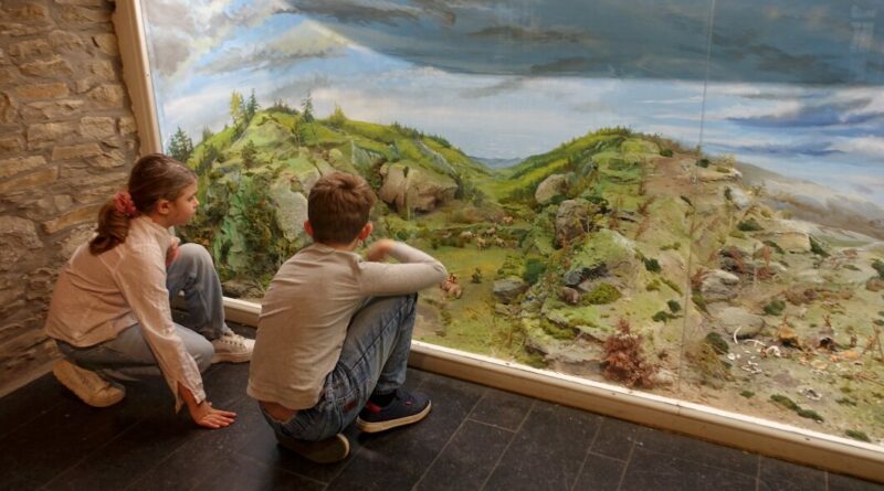 Dimanche gratuit au musee du pays dourthe ambleve