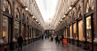 Galerie royales st hubert2