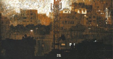 L embrasement delcourt 19