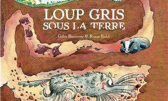 Loup gris