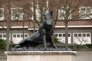 Le sanglier de Koekelberg : une présence sauvage au coin de la rue
