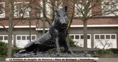 Sanglier55555555555555