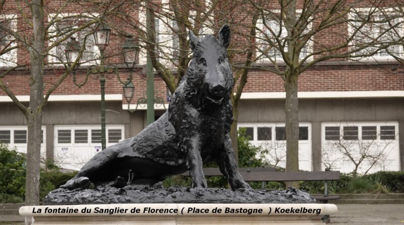 Sanglier55555555555555