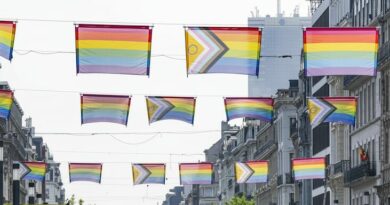 1 depuis 30 ans la ville de bruxelles acceuille la pride