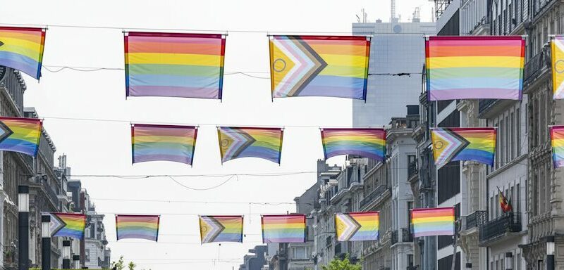 1 depuis 30 ans la ville de bruxelles acceuille la pride