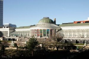 Le Jardin botanique de Bruxelles : nature, culture et harmonie au cœur de la ville