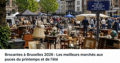 Brocantes a Bruxelles