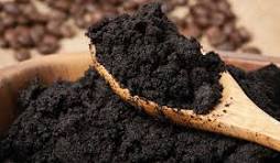 Transformez votre jardin avec du marc de café : une astuce naturelle et efficace !