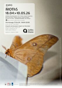 Des ailes dans la lumière : “Moths” fait vibrer la Chapelle de Boondael