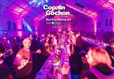 Plan de travail 2 copie