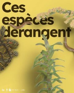 Contre la propagation des espèces invasives agissons ensemble