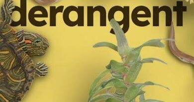 Contre la propragation des especes ivasives il faut agir ensemble