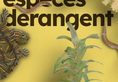 Contre la propragation des especes ivasives il faut agir ensemble