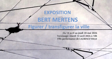 Exposition bart mertens a la maison de la francite bruxelles