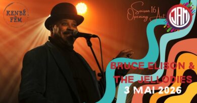 Jazz au marche a watermael boistfirt