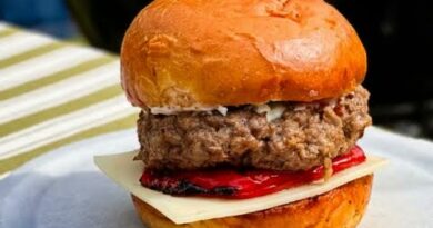 Recette burger dageau avec ttsatziki
