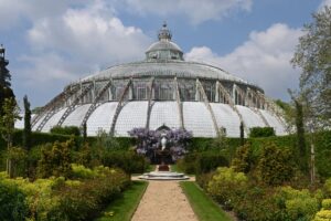 Les Serres Royales de Laeken : un rendez-vous printanier incontournable à Bruxelles