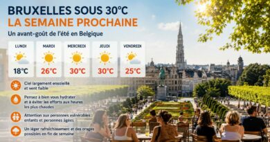 Bruxelles sous 30°C