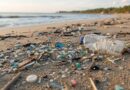 Microplastiques
