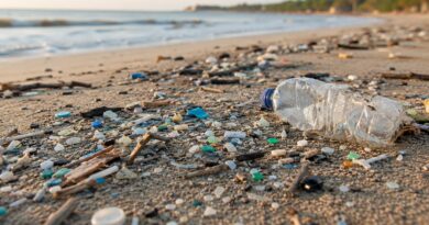 Microplastiques