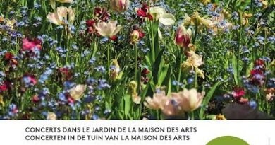 Les guingettes a la maison des arts