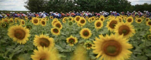 Le Tour de France 2026 en direct et en intégralité sur la RTBF