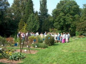 Le Jardin botanique Jean Massart à Auderghem : près de 2.000 espèces végétales visibles par le public